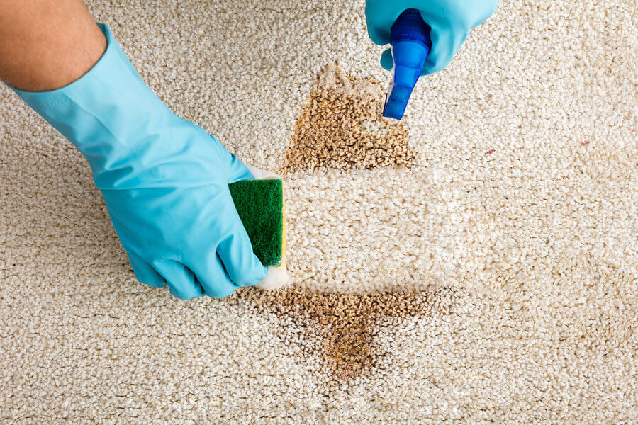 How to remove blood stains from carpet - Carpet Bright UK